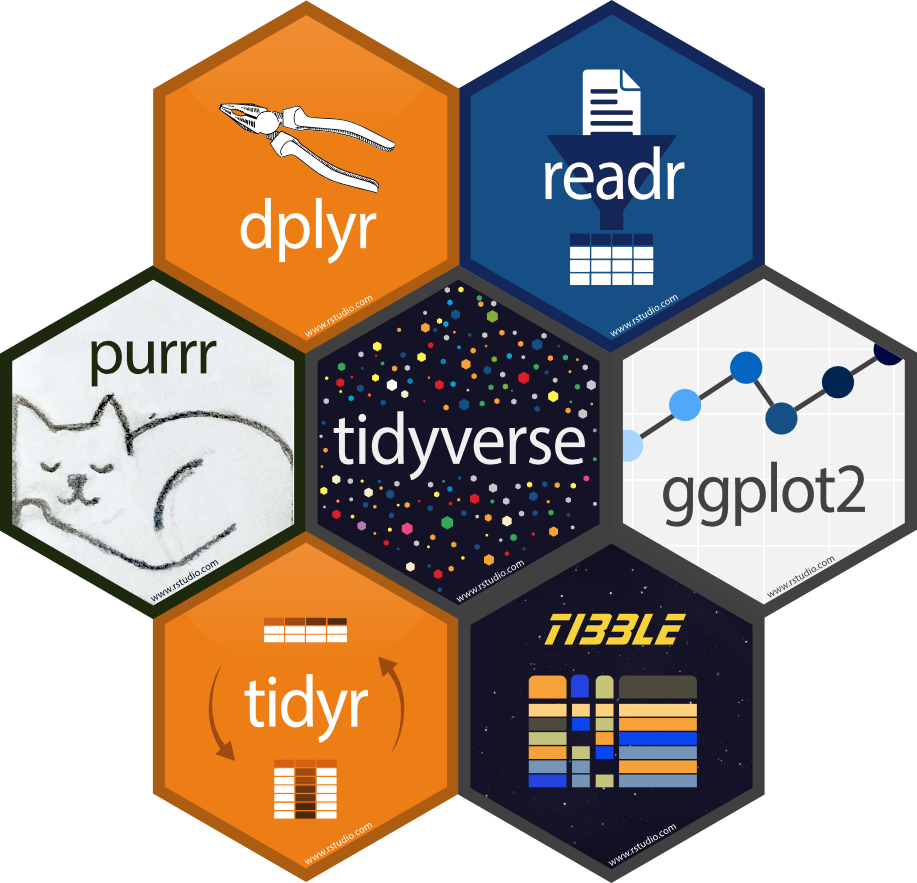 Dashboard Overview
